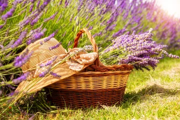 Fototapeten Basket with lavender flowers and straw hat on flower field in summer © Maresol