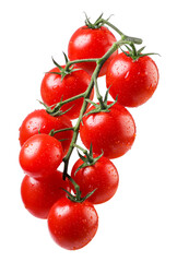 Cherry tomatoes on a branch close-up on a white background. Isolated