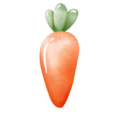  carrot 