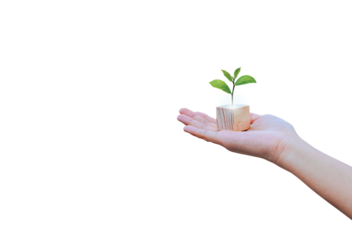 wooden block in hand and hope tree symbol goal progress and year growth concept. business ideas for successful growth process. PNG