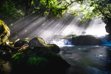 夏の絶景　幻想的な菊池渓谷の渓流と光芒