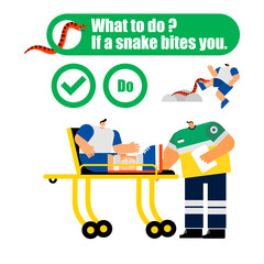 the first aid  for  snake bites.