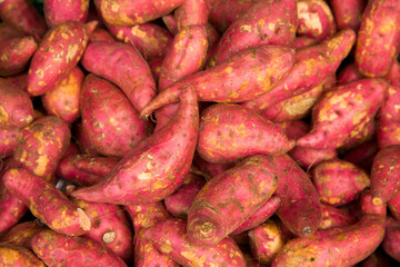 Fototapeta premium Sweeet Potatoes in a vegetable stand in Klong Toei Market in Bangkok.