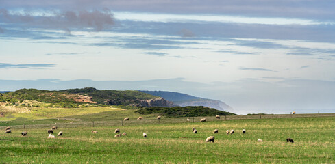 Great Ocean Road, Victoria, Australia