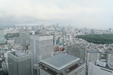 Fototapeta na wymiar 東京都庁 展望台からの景色　View from the observation deck of the Tokyo Metropolitan Government Building