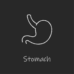 Fototapeta premium Chalk style health care ui icons collection. Vector white linear illustration. Stomach anatomy symbol isolated on black board background. Design element for healthcare, digestion system infographic