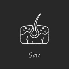 Chalk style health care ui icons collection. Vector white linear illustration. Skin layers with hair anatomy symbol isolated on black background. Design element for healthcare infographic