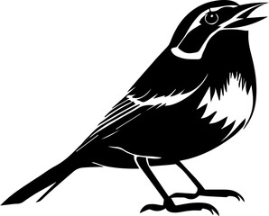 Blackburnian Warbler icon