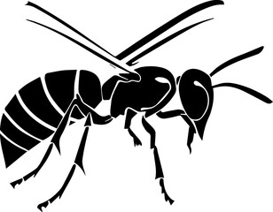 Black Wasp icon 1