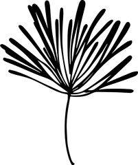 Austrobaileyaceae plant icon 1