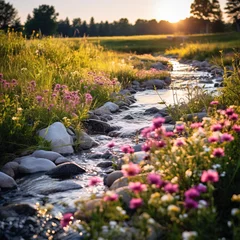 Fotobehang Beautiful Garden with an Amazing Flux of Water near some Rocks. Reflections of the Sun on the Water. © Boss