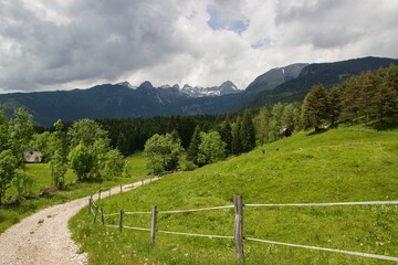 Planina Uskovnica, Stara Fužina, Lake Bohinj, Julian Alps, Slovenia