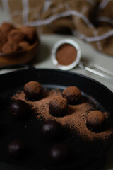 Chocolate truffles covered with cocoa powder. Gray background. Delicious dessert concept. Dark composition.