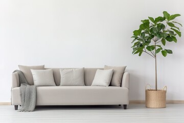 Modern Comfort: Grey Sofa with Plant