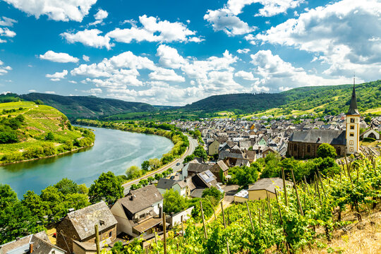 Kurze Entdeckungstour in der Moselregion beim Bremm - Rheinland-Pfalz - Deutschland