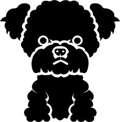 bolognese dog icon 1