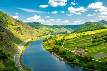 Obraz premium Kurze Entdeckungstour in der Moselregion beim Bremm - Rheinland-Pfalz - Deutschland