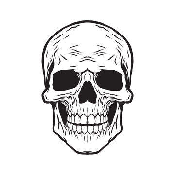 Skull hand drawn illustrations for the design of clothes, stickers, tattoo etc