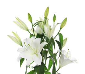 Beautiful bouquet of lily flowers isolated on white