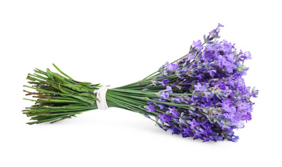 Bouquet of beautiful lavender flowers isolated on white