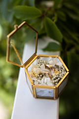 gold wedding rings in a beautiful transparent box