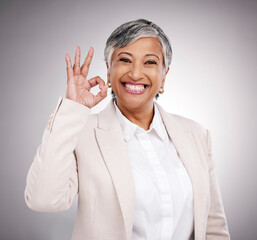 Business woman, portrait and okay sign, success and support or like for Human Resources career in...