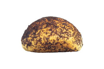 Bun, sweet bun with poppy seeds isolated from background