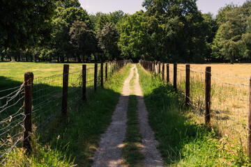 Fototapeta na wymiar A dirt road between wire fences, summer in the Netherlands, The Hague