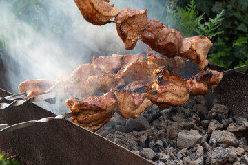 Barbecue on skewer. Fresh meat shish kebab prepared