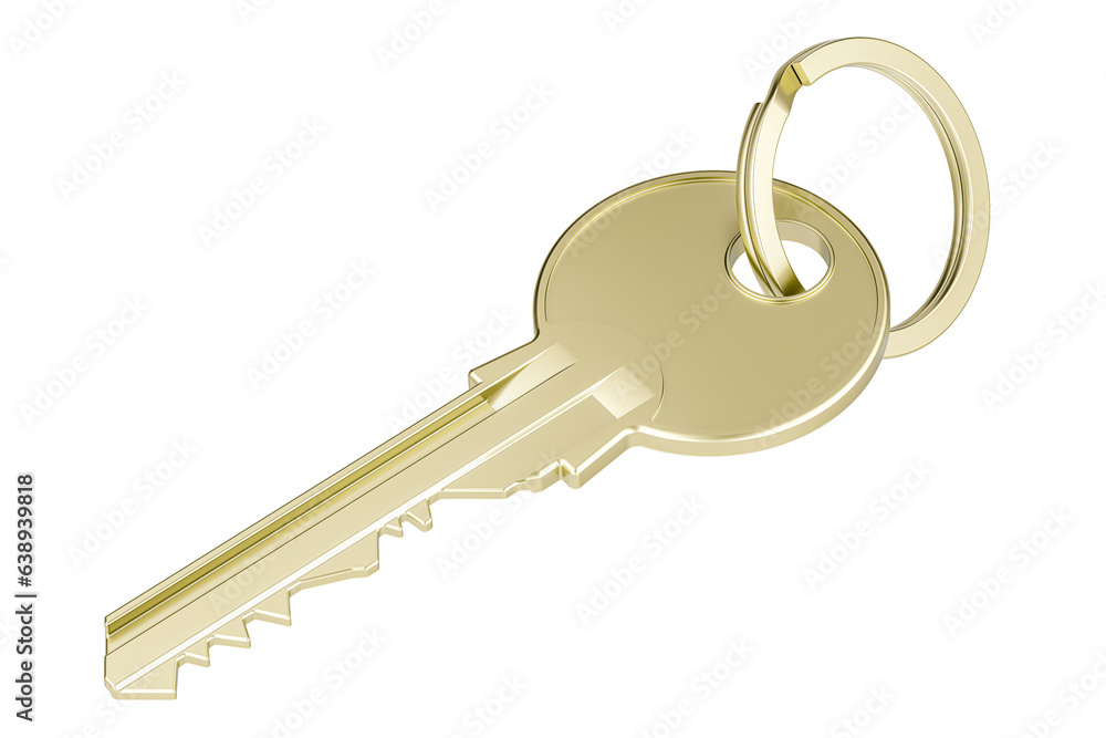 Poster key on a keyring, 3d rendering isolated on transparent background