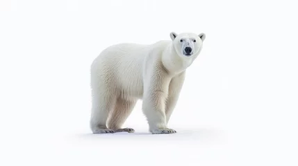 Foto op Canvas a polar bear isolated on the white background. generative ai © tong2530