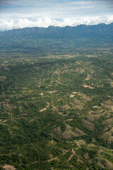 Obraz premium Dirt roads between trees in the mountains in a Colombian landscape.