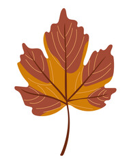 autumn maple leaf isolated on transparent background flat hand drawn vector illustration