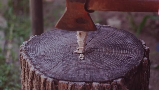 Wooden stake from vampires close-up.