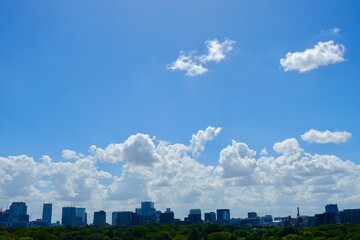 竹橋から見た霞ヶ関のビル群と青空