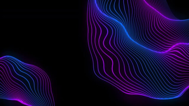 Abstract blue purple neon energy lines wave flow on black background. Futuristic technology concept. Seamless looping animation