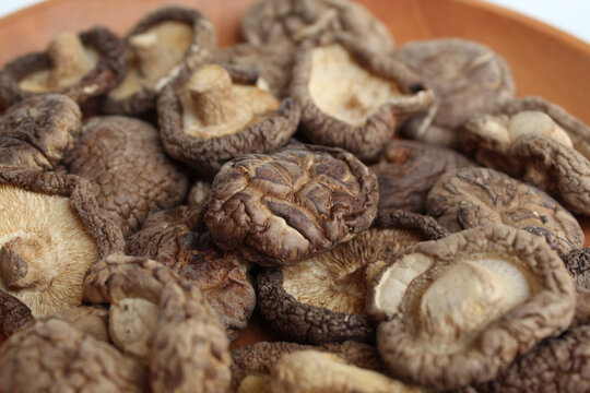 Dried paddy straw mushroom, or straw mushroom, or Volvariella volvacea, on wooden plate