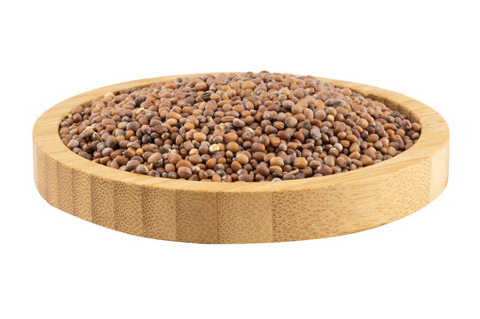 mustard seeds (sarı hardal tohumu)