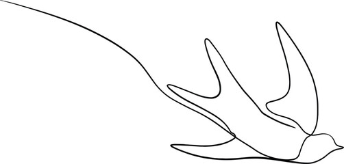 hand drawn vector illustration of seagull