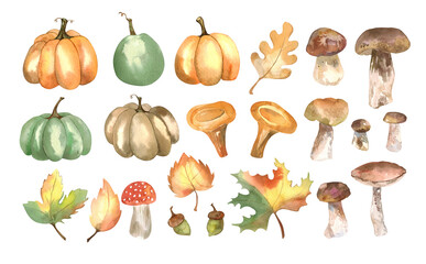 Autumn set with pumpkins, mushrooms, leaves, oak leaves on a white background. Watercolor print for Thanksgiving, harvest day, autumn farm fair, halloween.