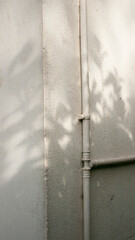 Sombra de arboles en pared con cañería
