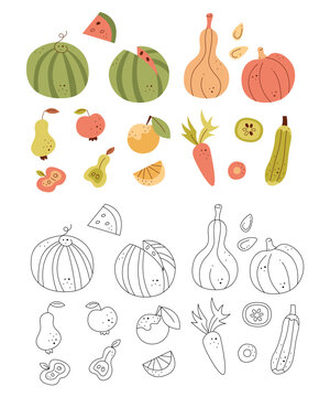 Set with autumn fruits and vegetables. Black and white and color clipart vector illustration.