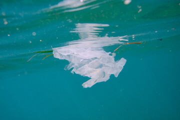 Plastic bag floating in sea