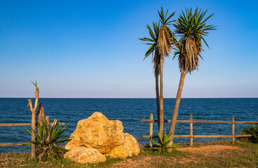 Mirador sobre el mar con palmeras
