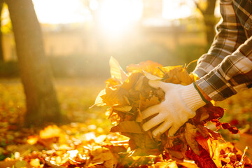 Close-up human hands in gloves raking fallen leaves on the lawn in the autumn park. Cleaning the autumn park from yellow leaves. Сoncept of ecology, volunteering.