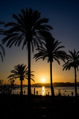 Obraz premium Beautiful tropical sunset on the beach