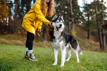 Beautiful young woman in a hat and yellow coat walks with her husky on the lawn in the park. Happy female posing outdoors with her dog. Concept of friendship, vacation, walk.
