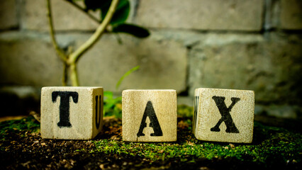 letters on wooden blocks arranged to form the word tax