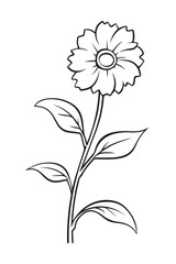 hand drawn flowers