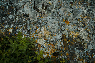 Cracked stone texture, natural background from mossy ancient rock